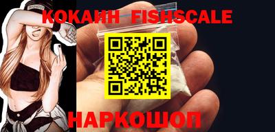 стафф Кингисепп