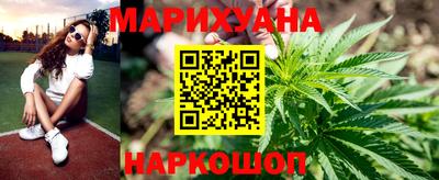 стафф Кингисепп