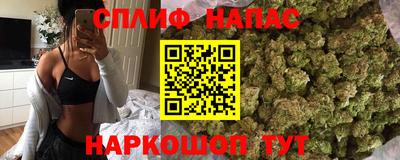 стафф Кингисепп