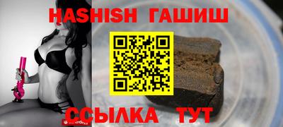 стафф Кингисепп